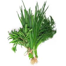 سبزی دلمه معطر باغ تره 100٪اورگانیک ریشه