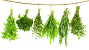 سبزی ماهی معطر باغ تره 100٪اورگانیک ریشه