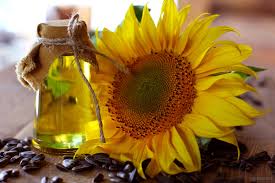 روغن افتاب گردان 100٪ ارگانیک ریشه