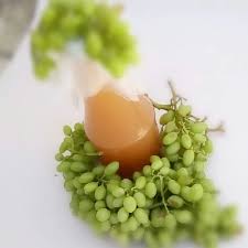 ابغوره عسگری 100٪ارگانیک ریشه