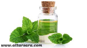 عرق نعنا دو اتیشه100٪ارگانیک ریشه