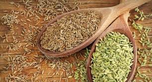چهار زیره مخصوص 100٪ ارگانیک ریشه